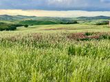 Val dOrcia