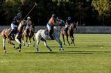 Polo Courances_1165D.jpg