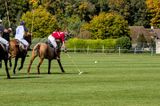 Polo Courances_7001D.jpg