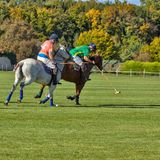 Polo Courances_7077D.jpg