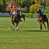 Polo Courances_7078D.jpg