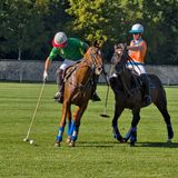 Polo Courances_7079D.jpg