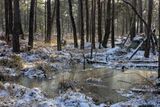 Lumire hivernale_3489D.jpg