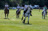Courances Polo_4818D.jpg