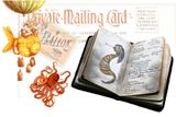 Postcard  Balloon Octopus Notebook copy.jpg