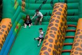 IMG_2057.jpeg