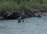 Annie in river.JPG