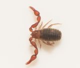 Fridhem Bohusln 20.9-22