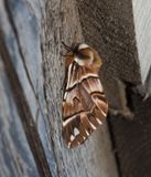 Krramosse Halland 21.4-22