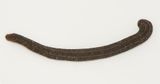 Stegared Halland 29.4-24