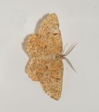 Vargslttsvgen Vstmanland 22.6-24