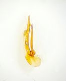 Ottersjn Halland 30.3-24  13 mm male