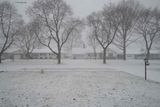 The Snow Has Started