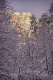 Oak Creek snow 5173.jpg
