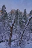 Oak Creek snow 5202.jpg
