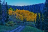 Colorado Fall 4441.jpg