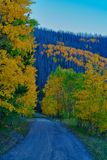 Colorado Fall 4466.jpg