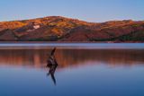 reflection 4650.jpg
