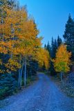 fall road 4556.jpg