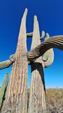 20250425_072507.jpg