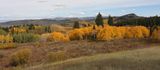 0T5A2671 Near Rabbit Ears Pass.jpg