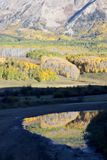 6P5A1741 Puddle reflection.jpg