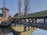 IMG_7896.jpg