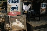066-India-_ALE5244.jpg