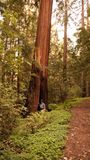 Samual Taylor (HIke)-4375.jpg