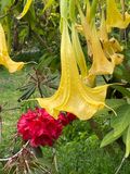 SFBG-5104.jpg