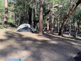 Wawona Campgroundo-0746.jpg