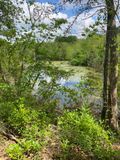 230322-034-Velo nature.JPG