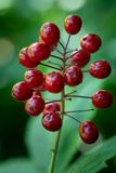230719-15-Jardins D A Seguin.jpg
