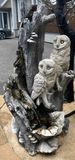 230725-19-Camping Orleans.JPG