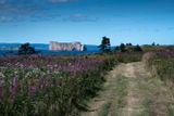 240808-111-Perce - Ile Bonaventure.jpg
