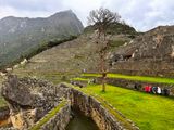 241030-214-Machu Picchu.JPG