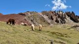 241101-266-Treck - Palcoyo.JPG