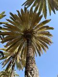 241024-042-Arequipa.JPG
