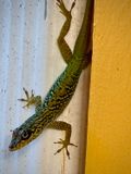 250317-006-Martinique-Hotel Bambou.JPG
