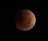 Lunar Eclipse Nov 8 2022.jpg