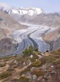 Aletsch glacier