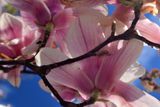 28 March