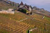 Chteau Montagny