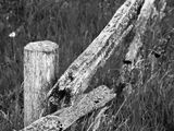 M123 5180775BW.jpg