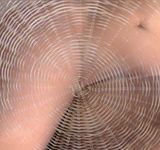  Body art 08992.jpg