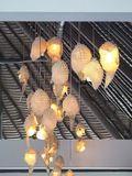 Lights 3130507.JPG