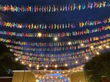 Night colour 3080573.JPG