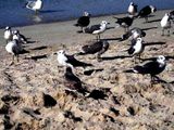 Nature C282587.jpg