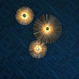 Lights 3106345.JPG