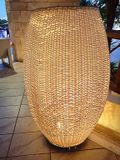 Light 3090035.JPG
